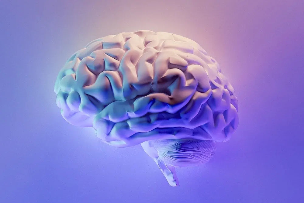 CBD for Parkinson’s Disease 